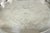 Mid 20th Century Vintage English Edwardian Silver Plated Oval Scalloped Gallery Bar Platter Tray For Sale - Image 5 of 18