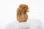 Carl Auböck Cheese Dome by Carl Auböck, Austria, 1960s For Sale - Image 4 of 5