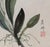 Paint Chinese Watercolor and Ink Floral Paintings by L. Chang a Pair For Sale - Image 7 of 8