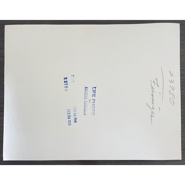 Andreas Feininger, American Photographer Landscape Silver Gelatin Vintage Print, 1956 For Sale In Miami - Image 6 of 8