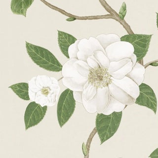 Sanderson Christabel Wallpaper in Ivory/Cream - a Sample For Sale