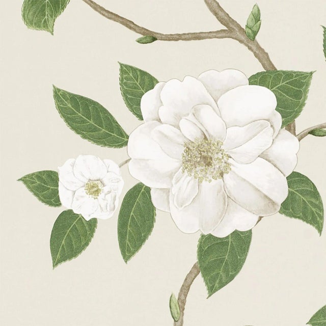 Sanderson Christabel Wallpaper in Ivory/Cream - a Sample For Sale