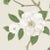 Sanderson Christabel Wallpaper in Ivory/Cream - a Sample For Sale