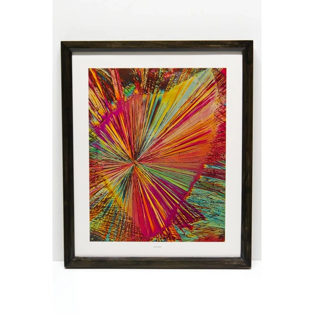 Scientific Photomicrography Prints by Jack Kath Set of 4 For Sale In Louisville - Image 6 of 12