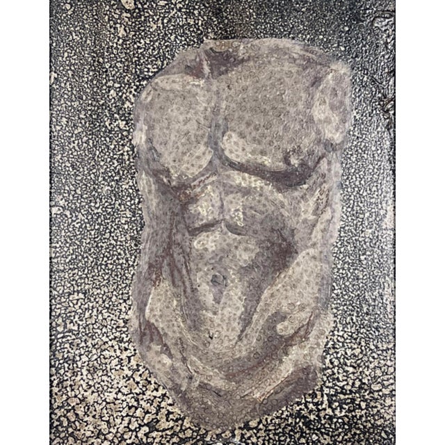 Figurative Romulus - Original Mixed-Media Collaboration With John Velo For Sale - Image 3 of 4