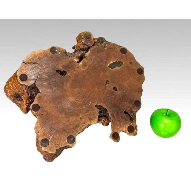 Large Burl Wood Candelabra Table Centerpiece / Candle Holder For Sale - Image 9 of 9