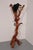 Bring the beauty of nature into your interior with this unique sculptural oak coat rack, handcrafted from carefully...
