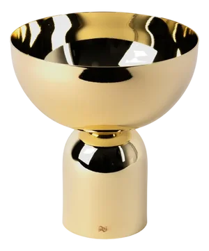 Round Top & Cylindrical Base Varnished Gold Brass Plated Bowl by Avlu