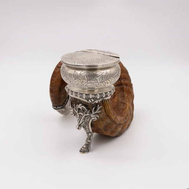 Ram’s Horn Snuff Mull Scottish, Circa 1890 For Sale - Image 11 of 12