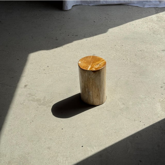 Small Side Table in Orange Petrified Wood, 1980s For Sale - Image 9 of 18