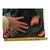 Textile Kate Merritt Illustrated Jungle Throw Pillow - Serpents & Peacock Feathers - Velvet Back - Maximalist Decor For Sale - Image 7 of 10