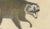 Brodtmann, Raccoon, Honey Badger & Wolverine, Lithograph, 1816 For Sale - Image 9 of 10