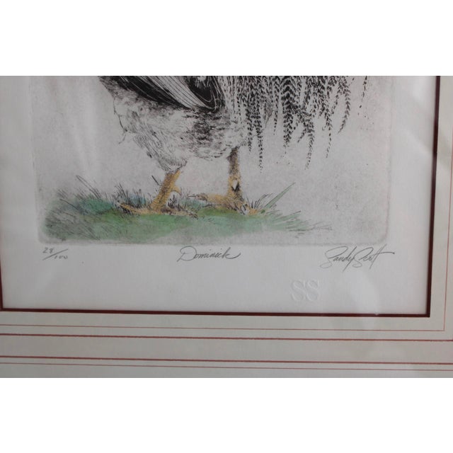 1990s Sandy Scott Signed Etching Rooster Chicken Limited Edition Framed Art Dominick For Sale - Image 4 of 7