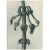An exquisite original period black-and-white Photogravure N25 of Aristolochia clematitis, Upright Birth-wort, Flowers,...