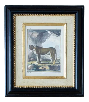 Late 20th Century "La Lione" Reproduction Print, Framed