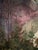 Meyer Moringen Helene, Wesertal Gieselwerder Reinhardswald View, 1890s, Oil on Canvas For Sale - Image 10 of 13