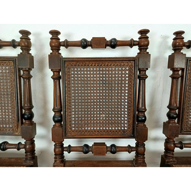 Antique Cane Chairs in Walnut, Set of 9 For Sale - Image 18 of 18