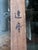 Japanese Silk Scroll of Daruma Hanabusa Itcho Edo Period For Sale - Image 10 of 11