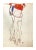 Artist: Egon Schiele Country: Austria Title: Two Female Torsos Medium: Offset – 21 Paper: Heavy paper 16 x 12 inch...
