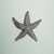 2020s Deep Pewter Starfish - small For Sale - Image 5 of 7