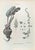 Vincenzo Tenore, The Chenopodiaceae, Lithograph, 1870s For Sale