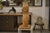A 1960s oak sculpture of a nude figure, sculpted in the round. The stylized female body is depicted as a bust, with soft...