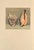 This is a set of 2 French sea shell lithographs that date to 1935. They are colored book plates of watercolors done by...