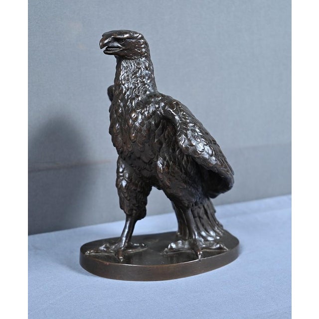 After T. Gechter, The Watchful Eagle, Late 19th Century, Bronze For Sale - Image 6 of 15