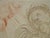 Salvador Dali, Le songe de Dante, Nude, Etching For Sale - Image 4 of 6