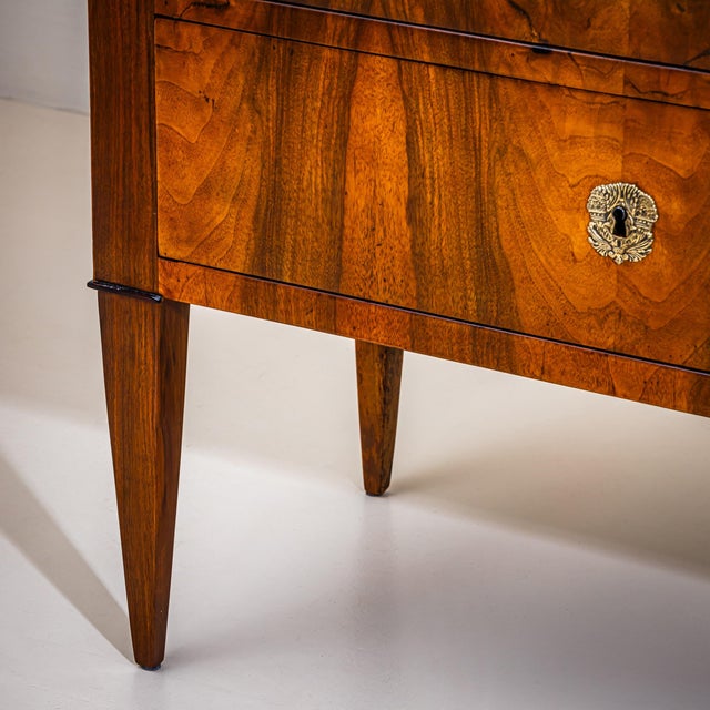 Biedermeier Biedermeier Chest of Drawers in Walnut, Circa 1820 For Sale - Image 3 of 10