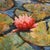 Framed Textured Contemporary Iris Lilies Red White Blue Painting on Canvas For Sale - Image 4 of 9