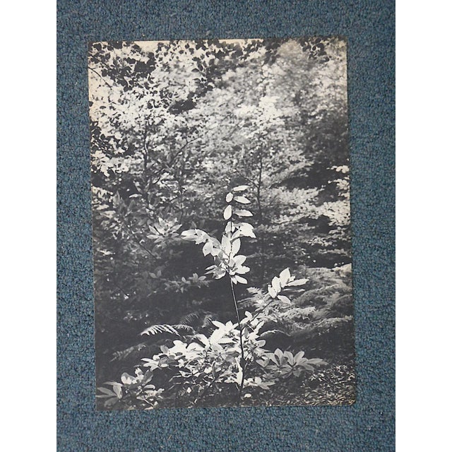 French Vintage Heliogravure Photo by Brassai-Verve-Paris-1939 For Sale - Image 3 of 3