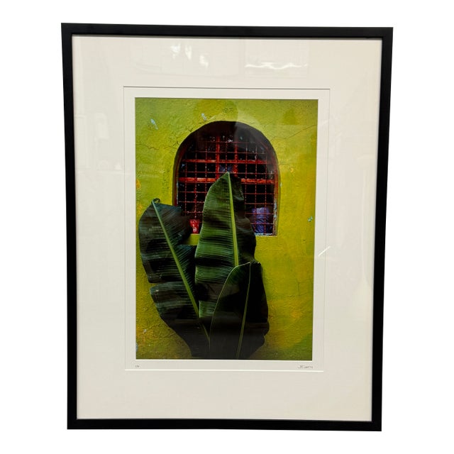 Jeffrey Becom Maya Color Chartreuse Ltd. Ed. Photograph, Signed For Sale