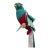 Vintage Angelitos Stuffed Parrot Decor For Sale