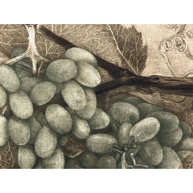 1990s G H Rothe Grapes #Apiii Art Hand Signed Limited Edition 1983 on Paper Original For Sale - Image 5 of 8