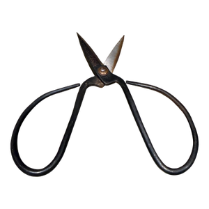 Traditional Pair of Forged Carbon Steel Loop-Handled Shears Chinese Bonsai
