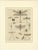 Bertuch, Dragonfly, Cicada & Exotic Insect, 1815, Engravings For Sale - Image 4 of 9