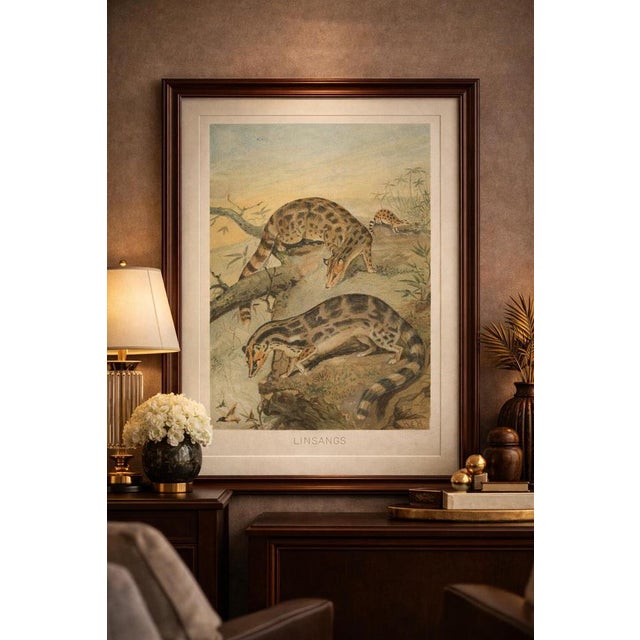 This rare print depicts linsangs moving gracefully through a wooded environment, highlighting their slender bodies and...