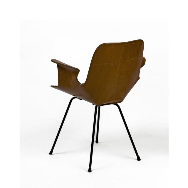 Mid-Century Modern Vintage Bentwood Medea Chair by Vittorio Nobili for Fratelli Tagliabue, Italy, 1950s For Sale - Image 3 of 10