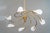 Tornado Chandelier by Rupert Nikoll, Vienna, Austria, 1960s For Sale - Image 6 of 18