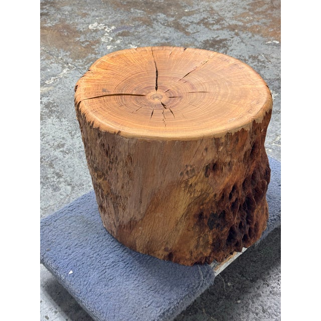 Organic Modern Live Edge Tree Side Table/Stool For Sale - Image 12 of 12