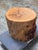 Organic Modern Live Edge Tree Side Table/Stool For Sale - Image 12 of 12
