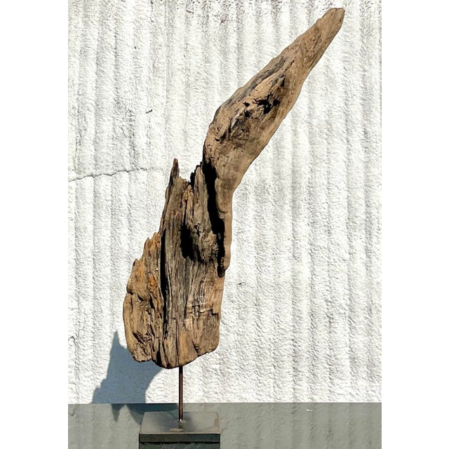 A fabulous vintage Boho sculpture. A chic monumental piece of driftwood mounted on a steel plinth. A real showstopper....