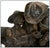 You are viewing a high quality, and stunning Fritz White Bronze Sculpture, titled "The Last Lucifer" that will certainly...