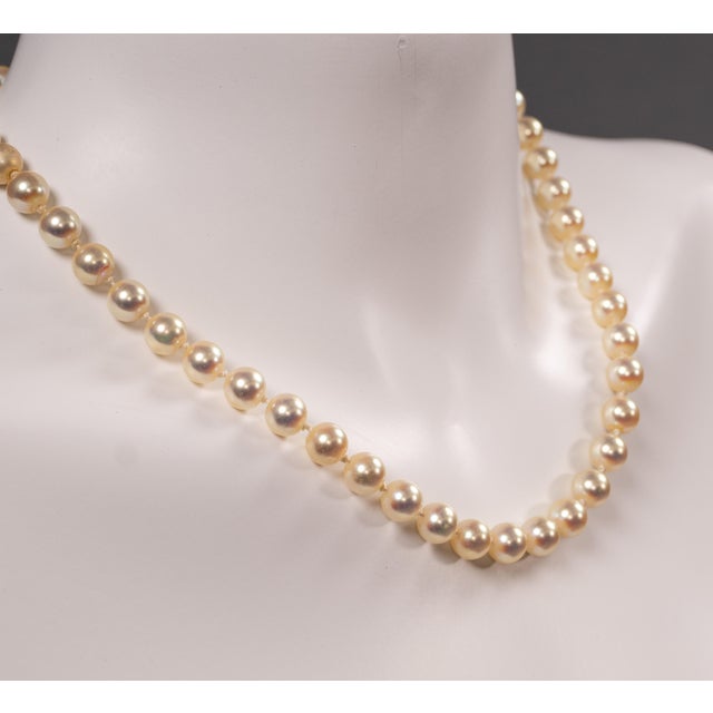 Costume Jewelry Necklace, 1980s For Sale - Image 5 of 12