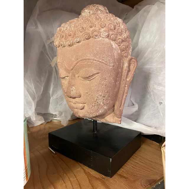 1910s Early 20th Century Sandstone Buddha Head, Northern India For Sale - Image 5 of 5