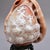 Antique Carved Shell Cameo Lamp, 1880 For Sale - Image 9 of 10