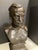 French Antique Bronze Bust of Louis Pasteur For Sale - Image 3 of 11