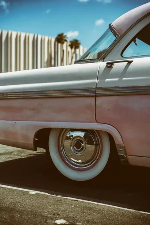 Pink Fairlane by Jens Ochlich Print, 16" x 24"