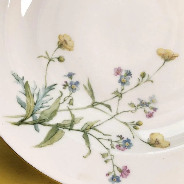 vintage ceramic soup plates with floral decorations and seltmann golden edging Height: 3.5 Diameter: 23 This piece is...